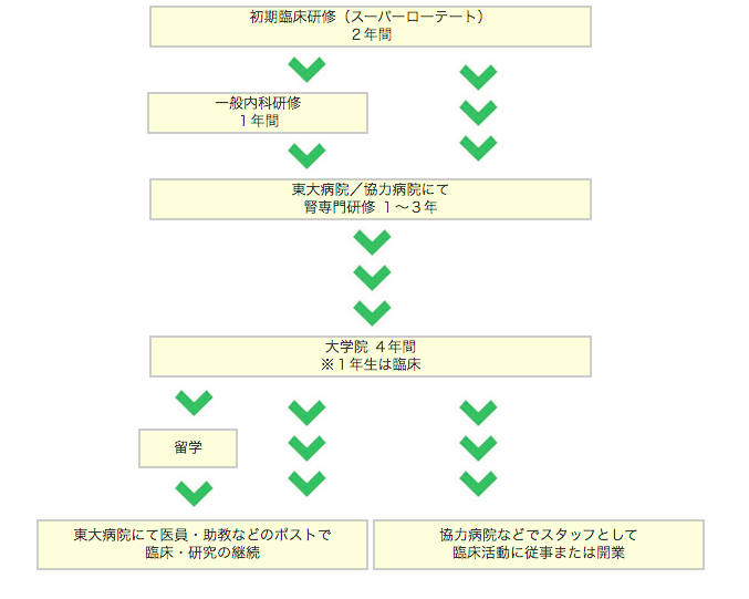 卒後臨床研修 後期研修 東京大学医学部附属病院 腎臓 内分泌内科 公式